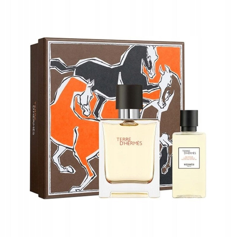 Giftset Hermes Terre d'Hermes Edt 100ml + Shower Gel 80ml