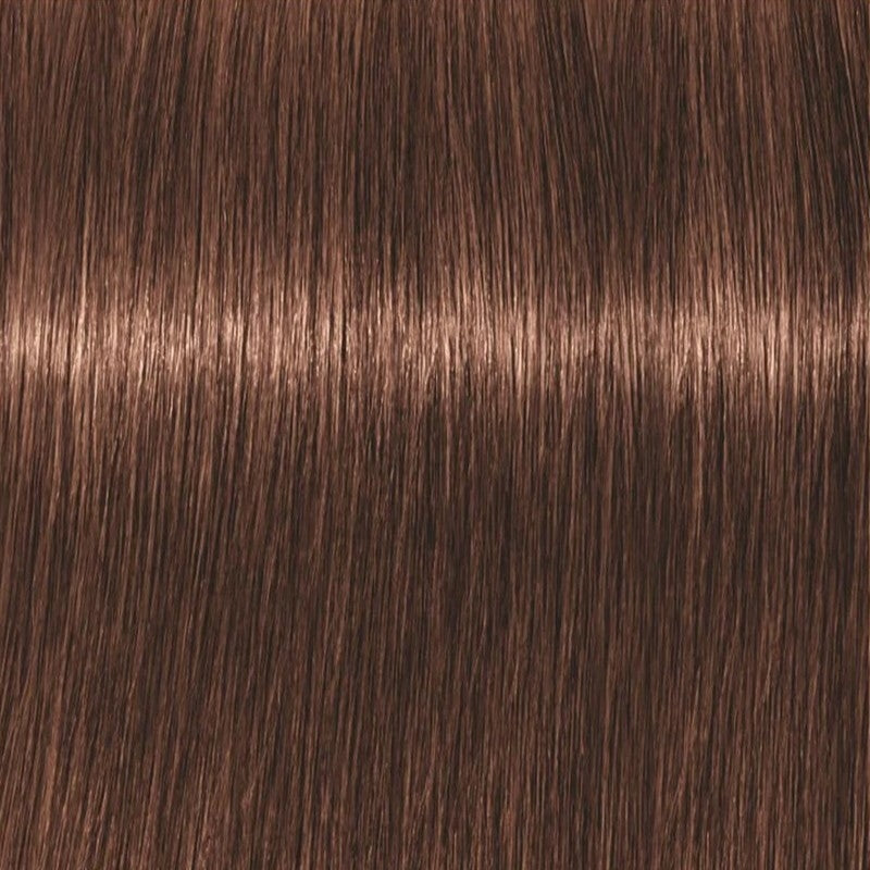 Schwarzkopf Professional Igora Vibrance Kit 6-68 Dark Blonde Chocolate Red